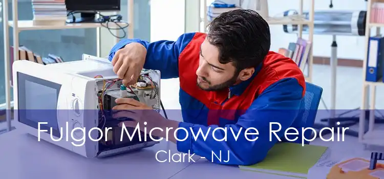 Fulgor Microwave Repair Clark - NJ