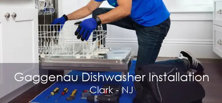 Gaggenau Dishwasher Installation Clark - NJ