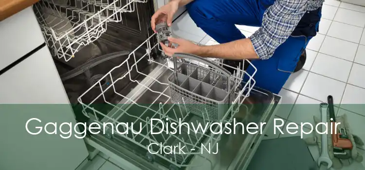 Gaggenau Dishwasher Repair Clark - NJ