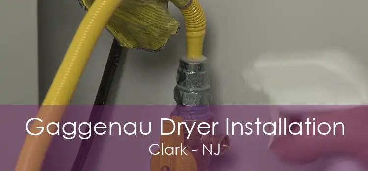 Gaggenau Dryer Installation Clark - NJ