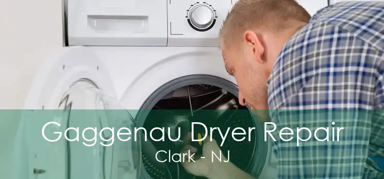 Gaggenau Dryer Repair Clark - NJ