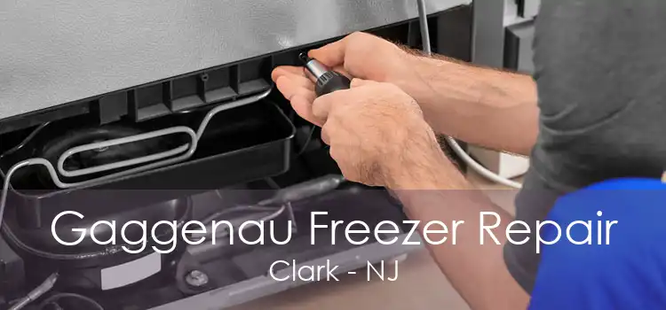 Gaggenau Freezer Repair Clark - NJ