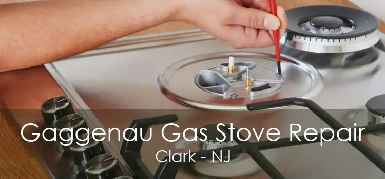 Gaggenau Gas Stove Repair Clark - NJ