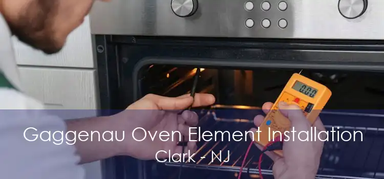 Gaggenau Oven Element Installation Clark - NJ