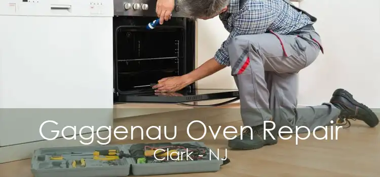 Gaggenau Oven Repair Clark - NJ