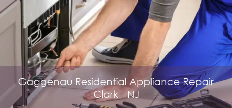 Gaggenau Residential Appliance Repair Clark - NJ