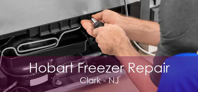 Hobart Freezer Repair Clark - NJ