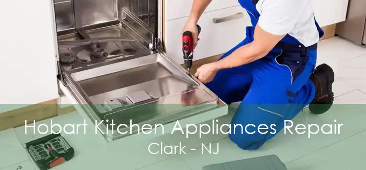 Hobart Kitchen Appliances Repair Clark - NJ