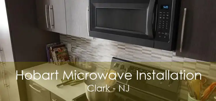 Hobart Microwave Installation Clark - NJ