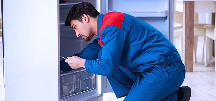 Freezer Repair Services in Clark, New Jersey