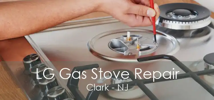 LG Gas Stove Repair Clark - NJ