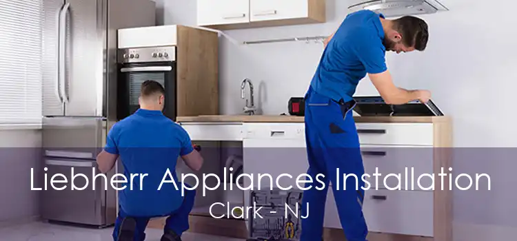 Liebherr Appliances Installation Clark - NJ