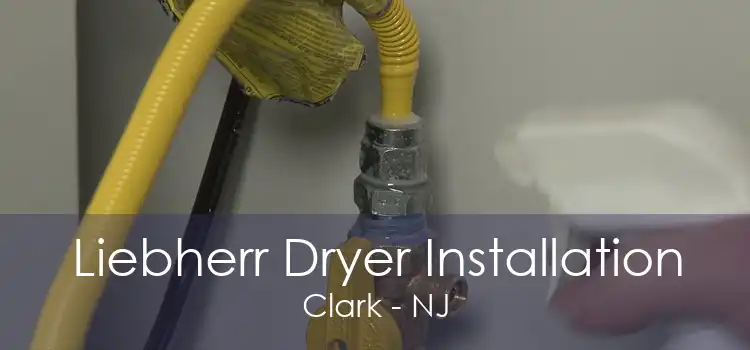 Liebherr Dryer Installation Clark - NJ