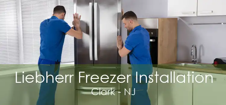 Liebherr Freezer Installation Clark - NJ