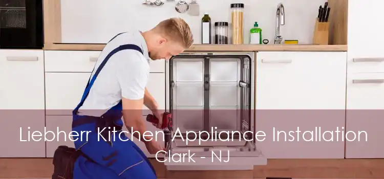 Liebherr Kitchen Appliance Installation Clark - NJ