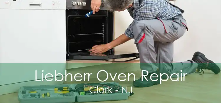 Liebherr Oven Repair Clark - NJ