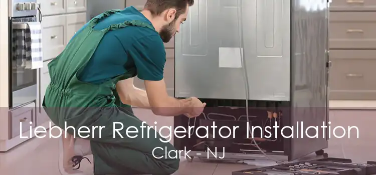 Liebherr Refrigerator Installation Clark - NJ