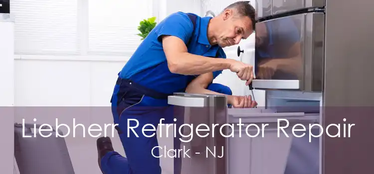 Liebherr Refrigerator Repair Clark - NJ