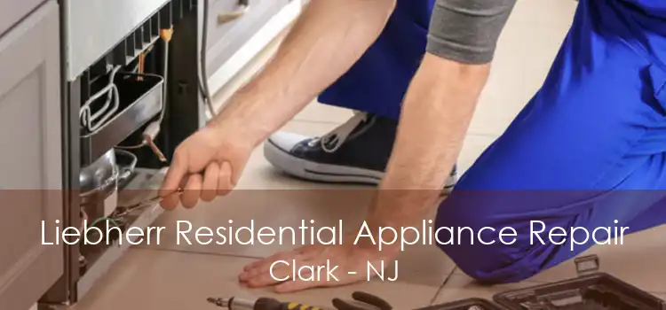 Liebherr Residential Appliance Repair Clark - NJ