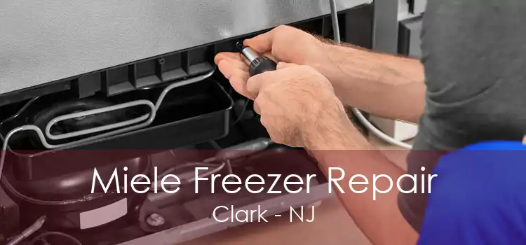 Miele Freezer Repair Clark - NJ