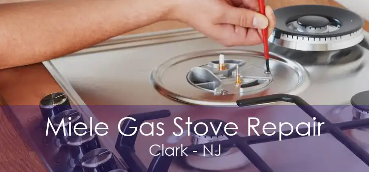 Miele Gas Stove Repair Clark - NJ