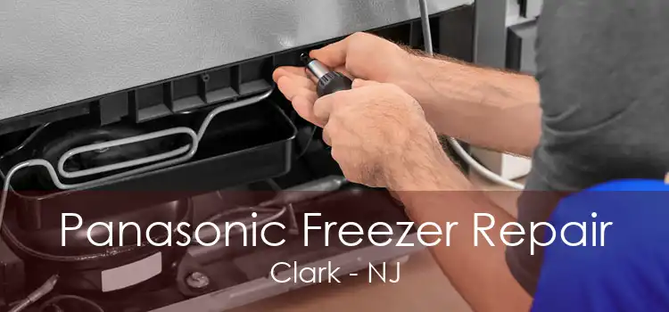 Panasonic Freezer Repair Clark - NJ