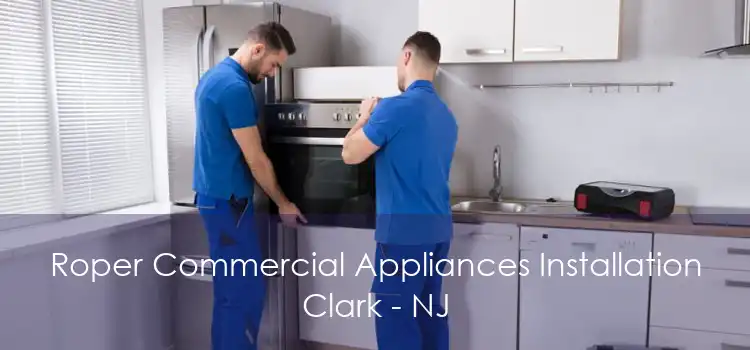 Roper Commercial Appliances Installation Clark - NJ