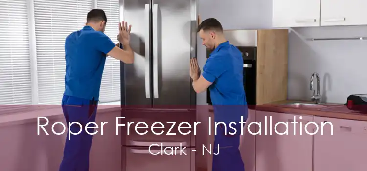 Roper Freezer Installation Clark - NJ