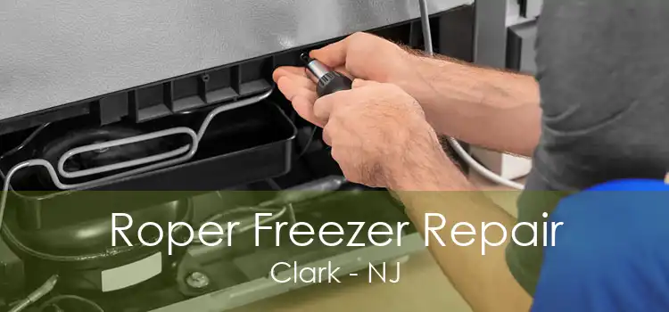 Roper Freezer Repair Clark - NJ