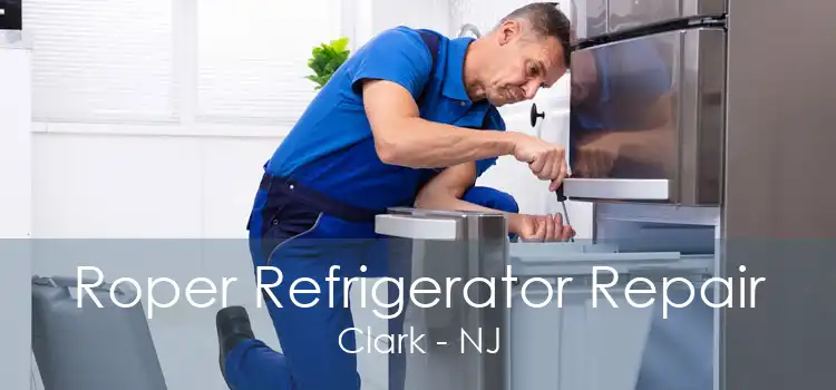 Roper Refrigerator Repair Clark - NJ