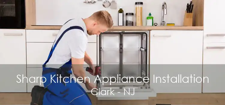 Sharp Kitchen Appliance Installation Clark - NJ