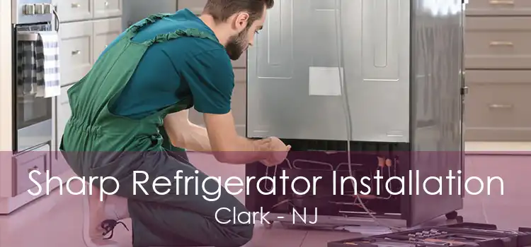 Sharp Refrigerator Installation Clark - NJ