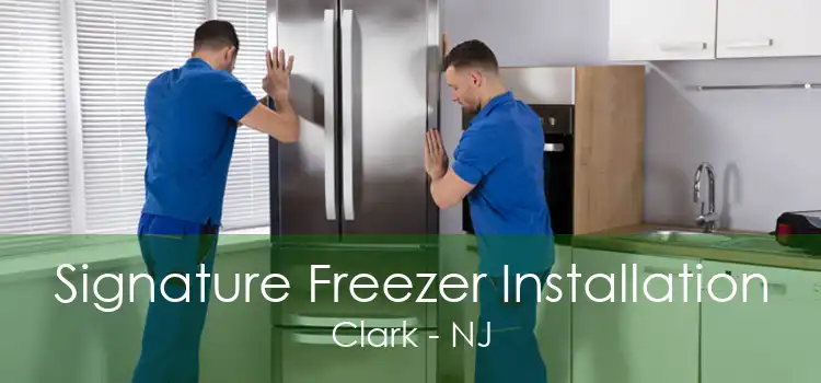 Signature Freezer Installation Clark - NJ