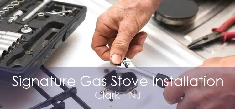 Signature Gas Stove Installation Clark - NJ