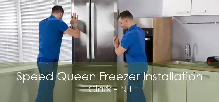 Speed Queen Freezer Installation Clark - NJ