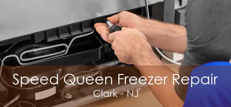 Speed Queen Freezer Repair Clark - NJ