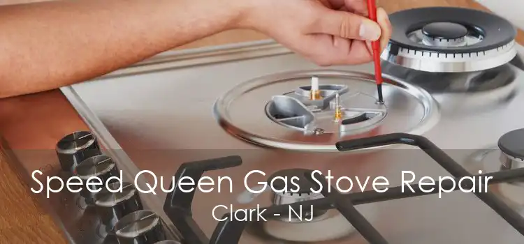 Speed Queen Gas Stove Repair Clark - NJ