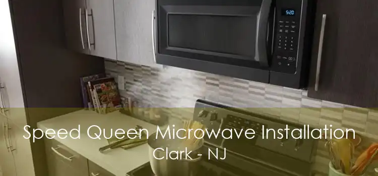 Speed Queen Microwave Installation Clark - NJ