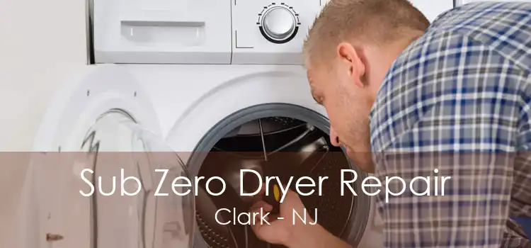 Sub Zero Dryer Repair Clark - NJ