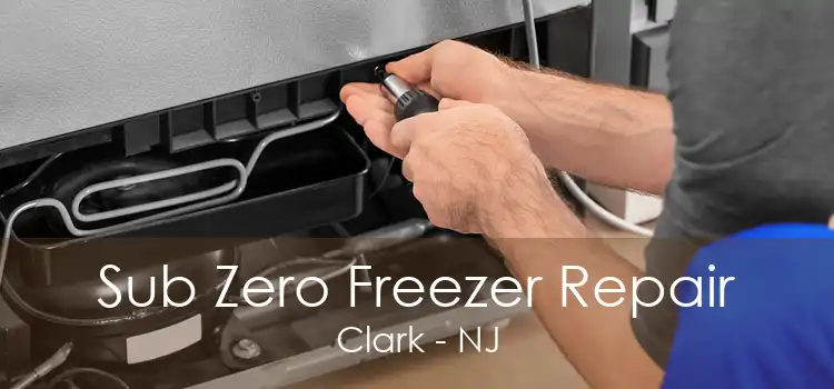 Sub Zero Freezer Repair Clark - NJ