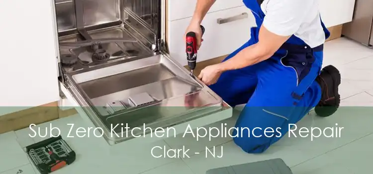 Sub Zero Kitchen Appliances Repair Clark - NJ