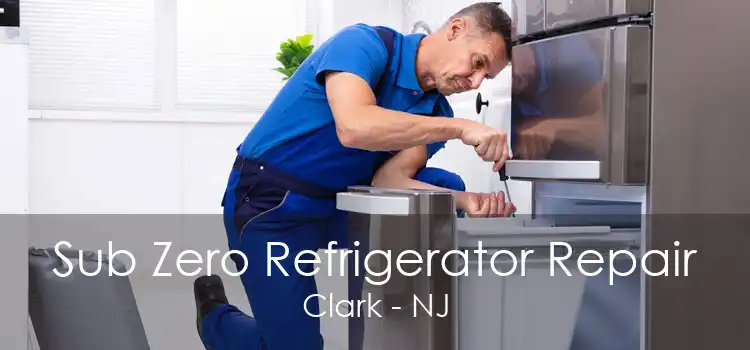 Sub Zero Refrigerator Repair Clark - NJ