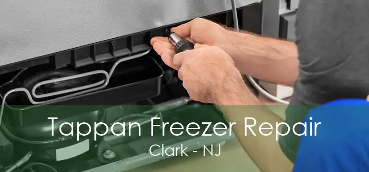 Tappan Freezer Repair Clark - NJ