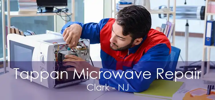 Tappan Microwave Repair Clark - NJ