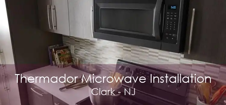 Thermador Microwave Installation Clark - NJ