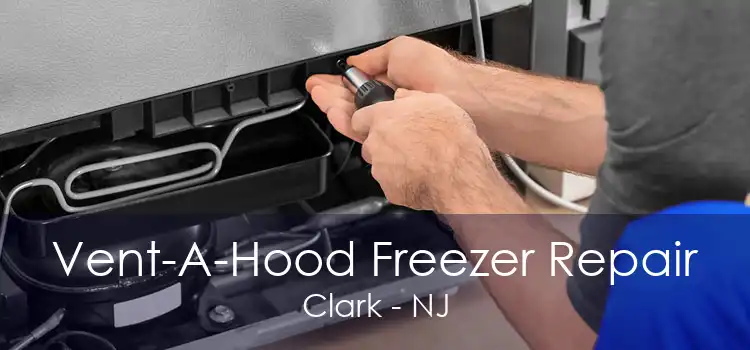 Vent-A-Hood Freezer Repair Clark - NJ