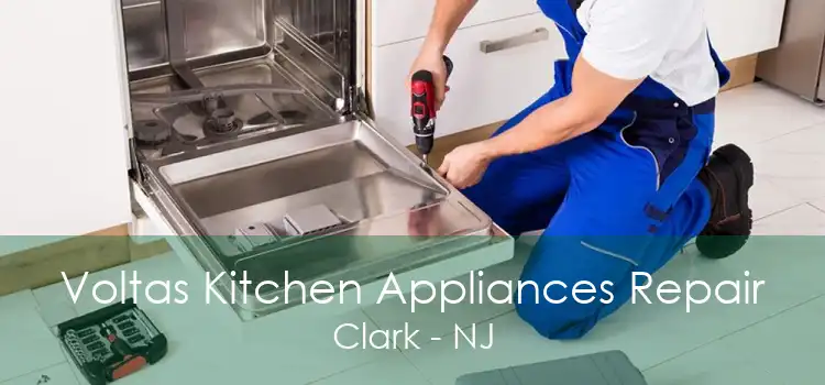 Voltas Kitchen Appliances Repair Clark - NJ