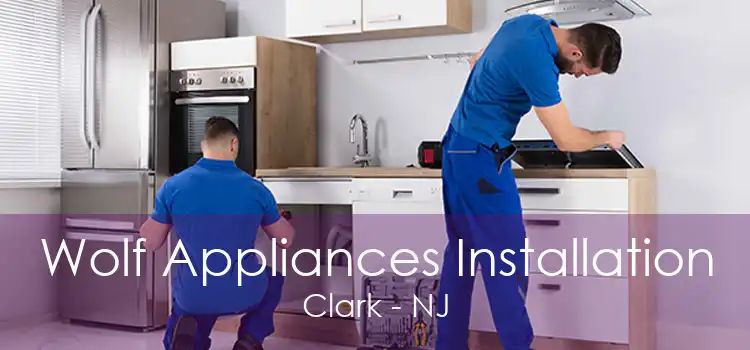 Wolf Appliances Installation Clark - NJ