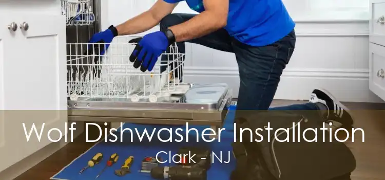 Wolf Dishwasher Installation Clark - NJ