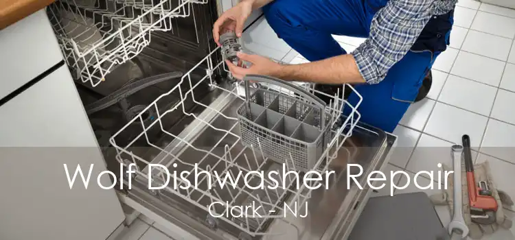 Wolf Dishwasher Repair Clark - NJ